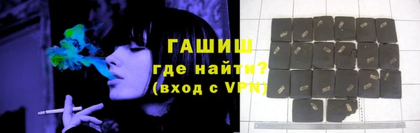 гашик Алексин