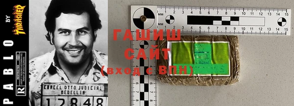 гашик Алексин