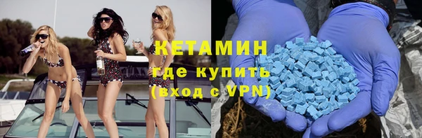 гашик Алексин