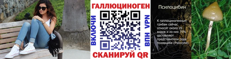 купить наркотик  Енисейск  Псилоцибиновые грибы ЛСД 